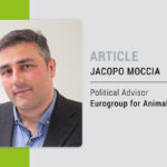 EU policy and insect alternative protein, panacea or chimaera?