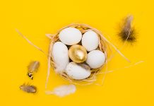 Judd Stevens becomes new Vice President of Cal-Maine Foods