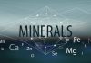 Feed Minerals and Global Market Status