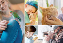 KENT acquires Lovitts for sustainable, customizable product development