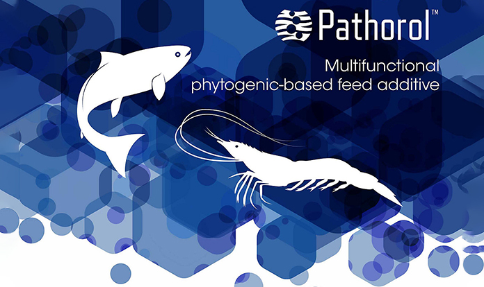 Kemin AquaScience launches natural additive Pathorol for shrimp 