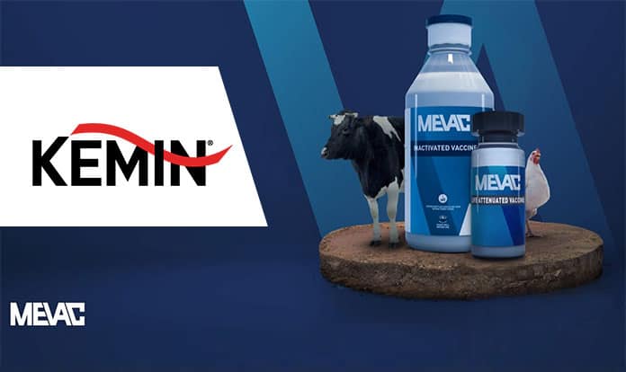 Kemin becomes majority shareholder in animal vaccine company MEVAC