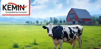 Kemin introduces choline supplement for dairy cows in US