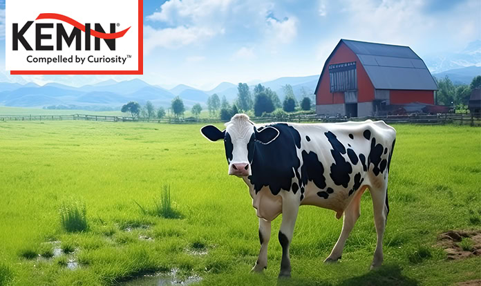 Kemin introduces choline supplement for dairy cows in US