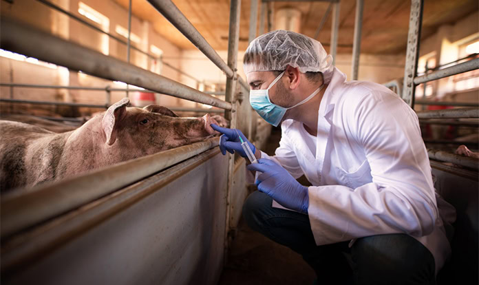 Kemin launches new feed pathogen control solution at VIV Asia