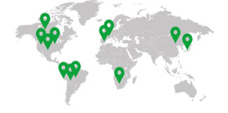 Precision feeding: LEVUCELL SC fiber-effect to support sustainable cost-effective formulation
