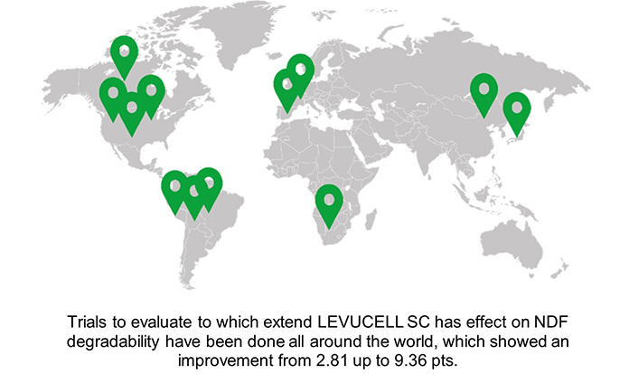 Precision feeding: LEVUCELL SC fiber-effect to support sustainable cost-effective formulation