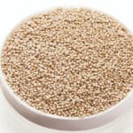 Lallemand’s TITAN offers probiotic yeast optimal resistance