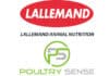 Lallemand and Poultry Sense join forces to improve efficiency