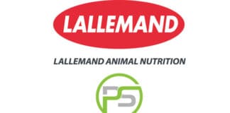 Lallemand and Poultry Sense join forces to improve efficiency