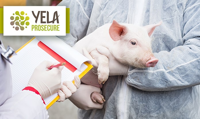 Lallemand launches YELA PROSECURE