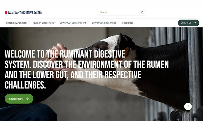 Lallemand launches ruminant digestive health program