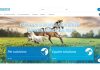 Lallemand starts new website for petfood and equine feed industry