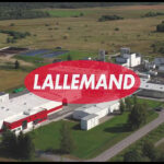 Lallemand to present a new study at the 6th International Poultry Meat Congress