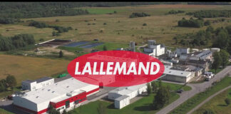 Lallemand to present a new study at the 6th International Poultry Meat Congress
