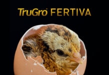 Layn to introduce new fertility solution for breeders at IPPE