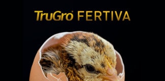 Layn to introduce new fertility solution for breeders at IPPE