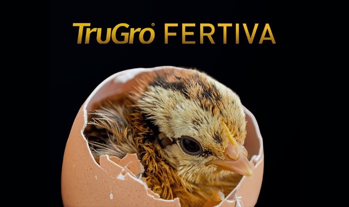 Layn to introduce new fertility solution for breeders at IPPE