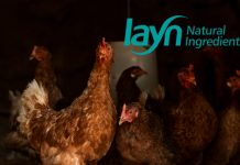 Layn to showcase its water-soluble polyphenol feed additives at IPPE 2025