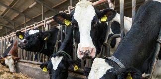 Leading companies launch pilot to reduce methane emissions on farms