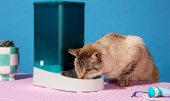 Leaft Foods enters pet food market