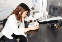 Leeds University and Entocycle to evaluate use of non-permissive feedstocks in UK to raise BSF