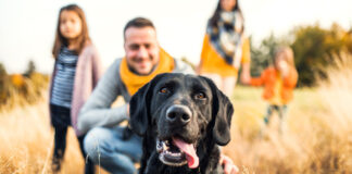 Lesaffre strengthens pet probiotics portfolio