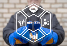 Livestock industry under climate pressure: Is nutrition the most effective way to reduce methane?