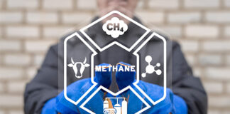 Livestock industry under climate pressure: Is nutrition the most effective way to reduce methane?
