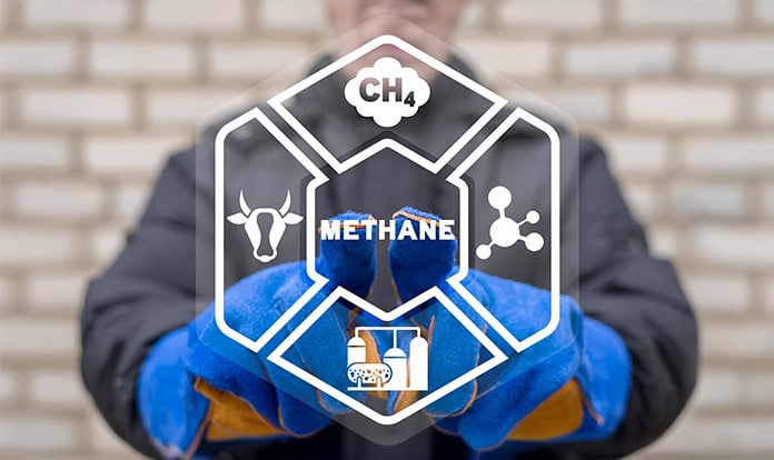 Livestock industry under climate pressure: Is nutrition the most effective way to reduce methane?