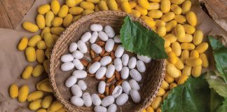 Loopworm receives authorization to supply ingredients to EU