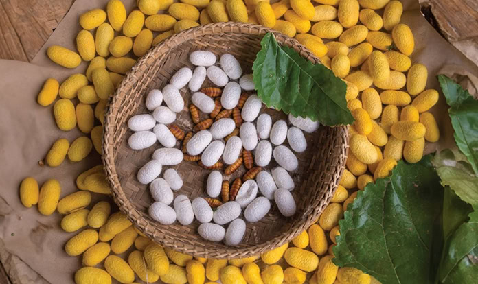 Loopworm receives authorization to supply ingredients to EU