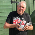 Lost racing pigeon Bob to be reunited with owner after 4000 mile detour
