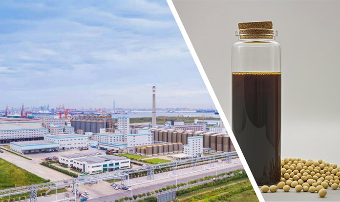 Louis Dreyfus Company strengthens portfolio with lecithin production line