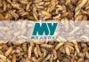 MYGroup to scale up production with first BSF farm