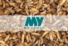 MYGroup to scale up production with first BSF farm