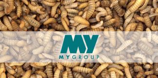 MYGroup to scale up production with first BSF farm