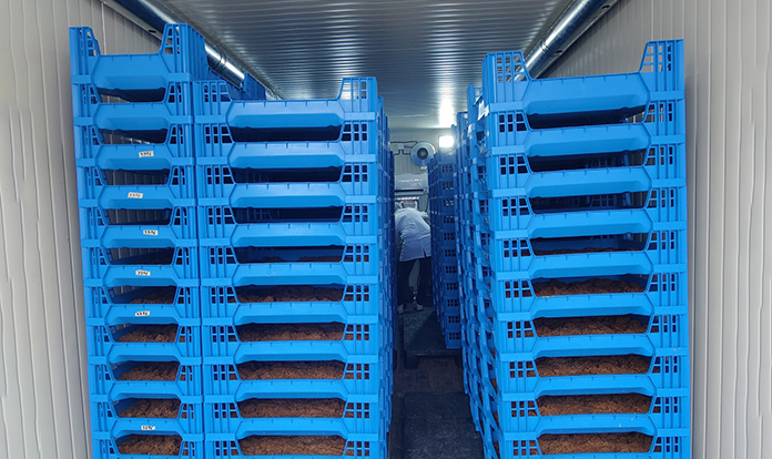 Manna Insect Oy introduces Manna MIND Gen2 for insect farmers