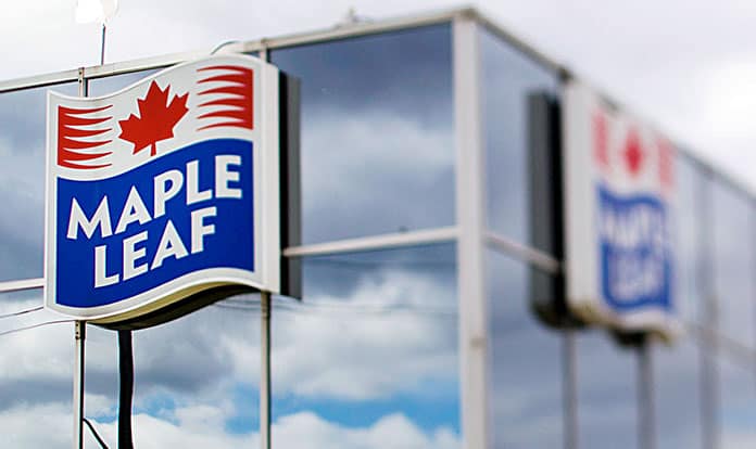 Maple Leaf Foods purchases four pig farms in Saskatchewan