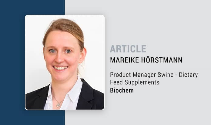 Suckling piglets: Are there alternatives to iron injections?