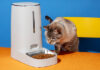 Mars-backed Pet Food Innovation Program launches for 2025