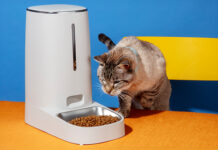 Mars-backed Pet Food Innovation Program launches for 2025