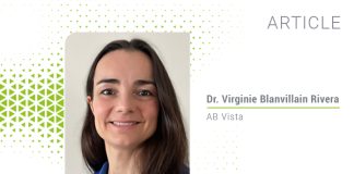 Maximise forage value for better sustainability and profitability