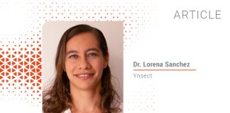 Mealworms: Low ash content with an interesting mineral profile for pet food recipes