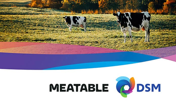 Meatable and DSM to jointly develop cultivated meat
