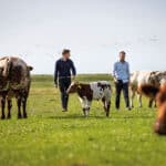 Meatable raises $47m in Series A funding