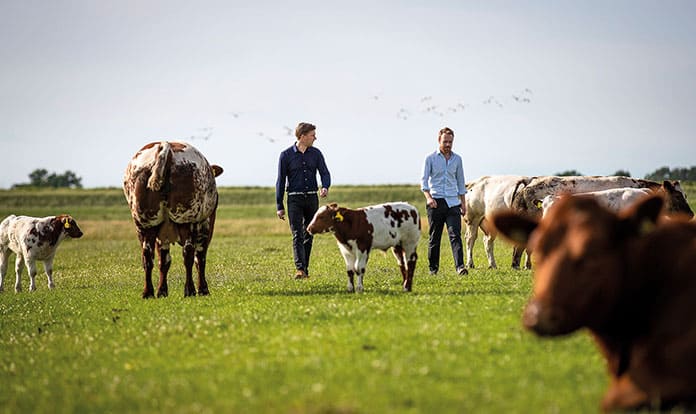 Meatable raises $47m in Series A funding