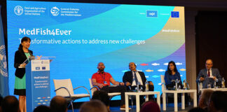 Fisheries and aquaculture industry come together for sustainability in Mediterranean
