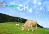 Methane-fighting start-up CH4 Global raises total investment to US$47 million