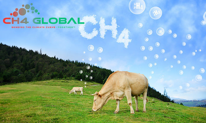 Methane-fighting start-up CH4 Global raises total investment to US$47 million